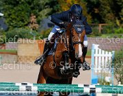 Paini Ottava Meraviglia GioCav2013 S5 4614 : Horses, Ottava Meraviglia, Paini Paolo, ph Stefano Secchi ©